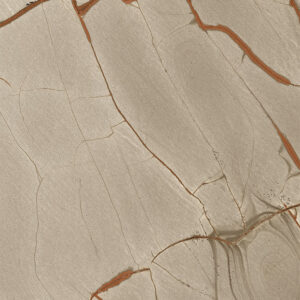 RAINFOREST 120X280 PARLAK