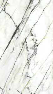 Calacatta Green 120x270 Parlak 02