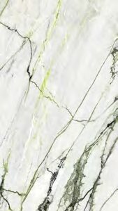 Calacatta Green 120x270 Parlak 04