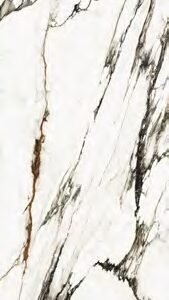 Paonazzo Biondo 120x270 Mat 01