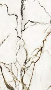 Paonazzo Biondo 120x270 Mat 04