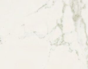 Carrara Blanco Brillo 59,6 x 59,6