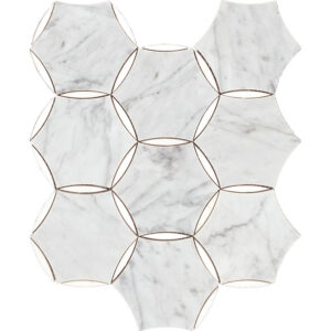 ESSENTIAL LINKS CARRARA