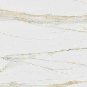 CALACATTA GOLD 120X120 MAT